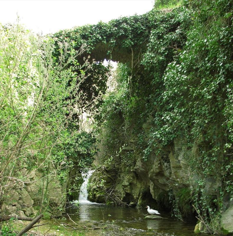Habitacion De La Marquesa Alcoleja المظهر الخارجي الصورة