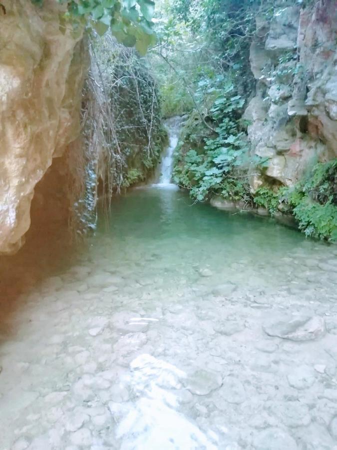 Habitacion De La Marquesa Alcoleja المظهر الخارجي الصورة