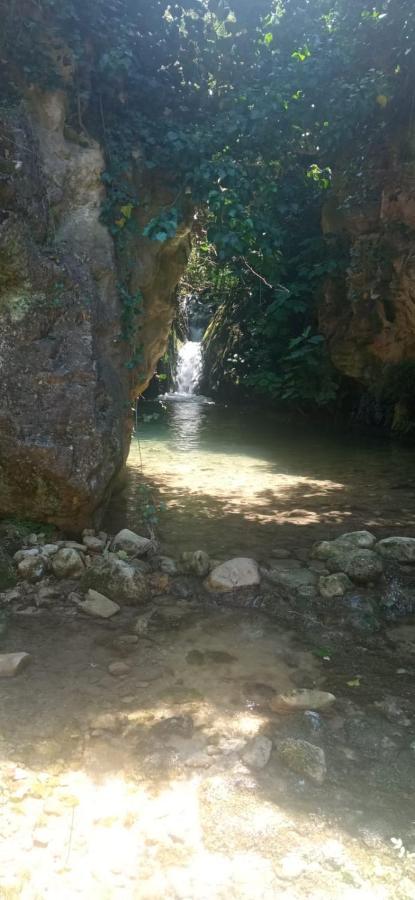Habitacion De La Marquesa Alcoleja المظهر الخارجي الصورة