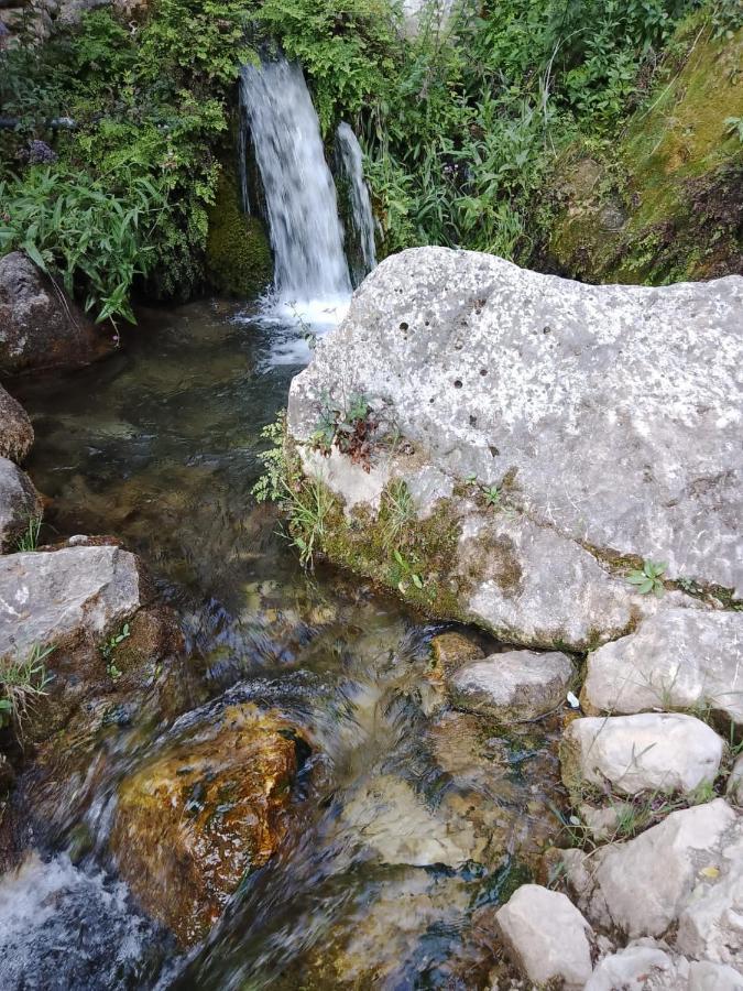 Habitacion De La Marquesa Alcoleja المظهر الخارجي الصورة