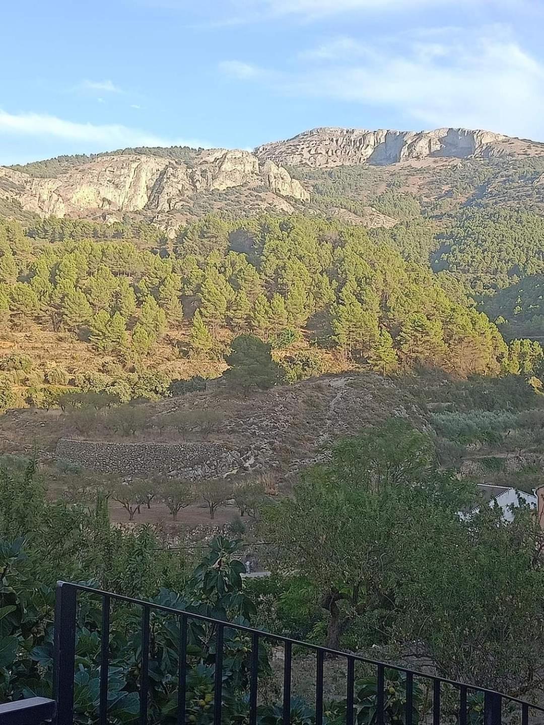 Habitacion De La Marquesa Alcoleja المظهر الخارجي الصورة